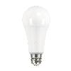 IQ-LED A67 N 19W-CW Lampa z diodami LED