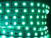 Taśma LED line® 300 SMD5060 12V RGBW 6100-6800K
