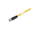 SAIL-M8BG-3-1.5UGE Kabel czujnikowy, nr.katalogowy 1093190150