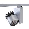 ASTOR LED SLM Food Warm White, L15, projektor track 50W/3000lm/44D/925, srebrny aluminiowy (mat struktura) RAL 9006
