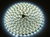 Taśma LED line® 300 SMD3528 12V 6200-6700K IP65