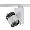 ASTOR LED SLM Food Warm White, L15, projektor track 50W/3000lm/13D/925, biały sygnałowy (mat struktura) RAL 9003