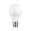 IQ-LED A60 5,5W-CW Lampa z diodami LED