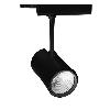 Projektor TINO DC LED ED 3300lm/830 19° czarny 37 W
