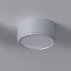 KAPS A1/10 stropowy LED 10W/1000lm/3000K, 230V, srebrny aluminiowy (mat struktura) RAL 9006, srebrny aluminiowy (mat struktura) RAL 9006